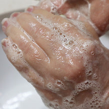 Load image into Gallery viewer, Vegan with Hemp Oil Foaming Sugar Scrub